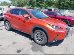 JTJDARDZ0L2219719 2020 LEXUS NX