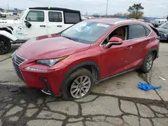 JTJDARDZ0M5020637 2021 LEXUS NX