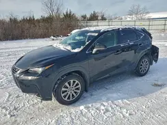 JTJDARDZ1L5004929 2020 LEXUS NX