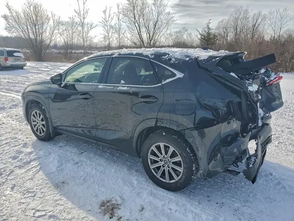 JTJDARDZ1L5004929 2020 LEXUS NX - Image 2