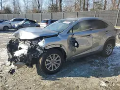 JTJDARDZ1M2243917 2021 LEXUS NX