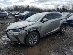 JTJDARDZ2M2259155 2021 LEXUS NX