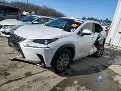 JTJDARDZ2M5023006 2021 LEXUS NX