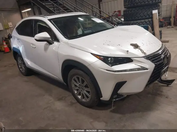 JTJDARDZ2M5030909 2021 LEXUS NX - Image 1