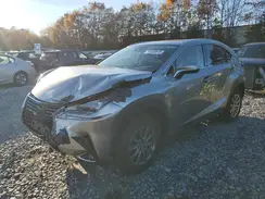 JTJDARDZ2M5031297 2021 LEXUS NX