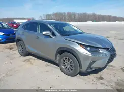 JTJDARDZ3L2223294 2020 LEXUS NX