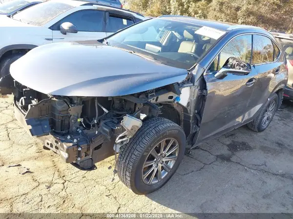 JTJDARDZ3L2224073 2020 LEXUS NX - Image 2