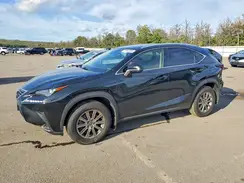 JTJDARDZ3L5004608 2020 LEXUS NX