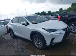 JTJDARDZ3L5007007 2020 LEXUS NX