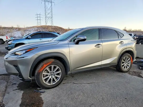 JTJDARDZ3L5007248 2020 LEXUS NX - Image 1