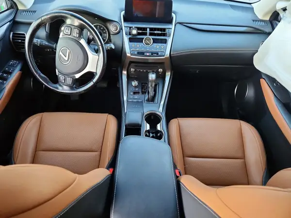 JTJDARDZ3L5007248 2020 LEXUS NX - Image 8