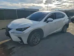 JTJDARDZ3L5015561 2020 LEXUS NX