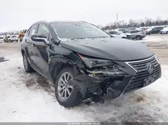 JTJDARDZ3M2247886 2021 LEXUS NX