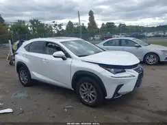 JTJDARDZ3M5020051 2021 LEXUS NX