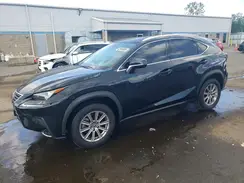 JTJDARDZ3M5020163 2021 LEXUS NX
