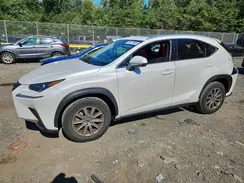 JTJDARDZ3M5022785 2021 LEXUS NX