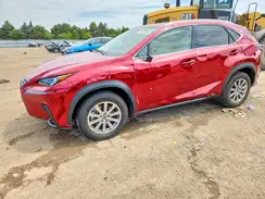 JTJDARDZ3M5023810 2021 LEXUS NX