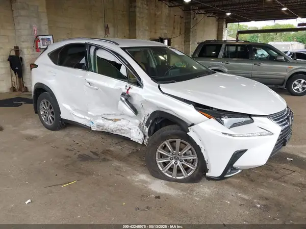 JTJDARDZ3M5023838 2021 LEXUS NX - Image 1