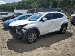 JTJDARDZ3M5029123 2021 LEXUS NX