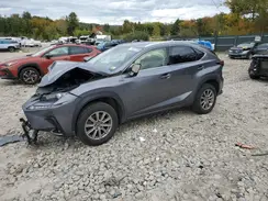JTJDARDZ4M2236556 2021 LEXUS NX