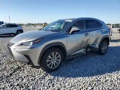 JTJDARDZ4M2243815 2021 LEXUS NX