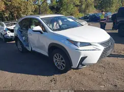 JTJDARDZ5M5030645 2021 LEXUS NX