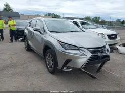 JTJDARDZ6L2222981 2020 LEXUS NX