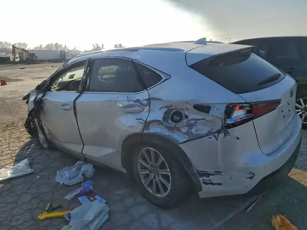 JTJDARDZ6L2231079 2020 LEXUS NX - Image 2