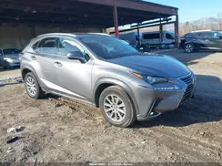 JTJDARDZ6M2241743 2021 LEXUS NX