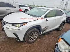 JTJDARDZ6M5031920 2021 LEXUS NX