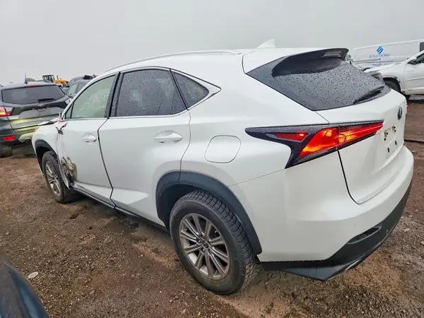 JTJDARDZ6M5031920 2021 LEXUS NX - Image 2
