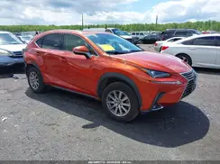JTJDARDZ7L2219426 2020 LEXUS NX