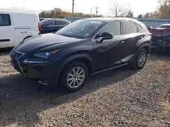 JTJDARDZ7M2243002 2021 LEXUS NX