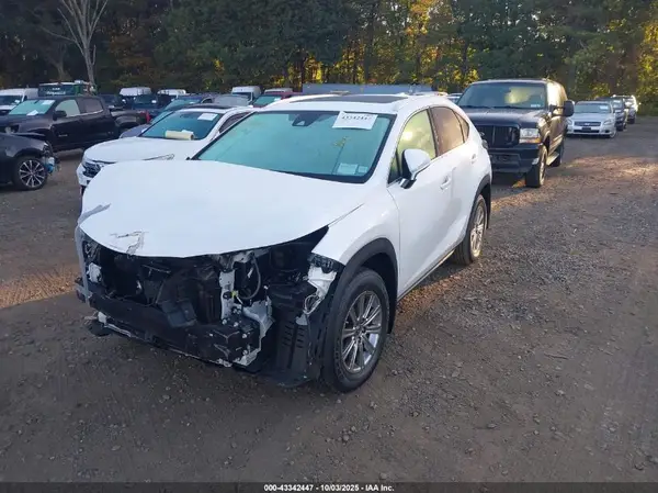 JTJDARDZ7M5026287 2021 LEXUS NX - Image 2