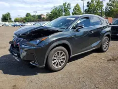 JTJDARDZ7M5029741 2021 LEXUS NX