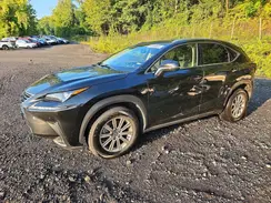 JTJDARDZ8L2235747 2020 LEXUS NX
