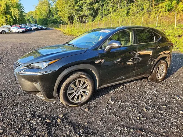 JTJDARDZ8L2235747 2020 LEXUS NX - Image 1