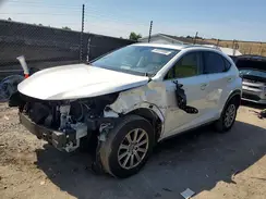 JTJDARDZ8L5005821 2024 LEXUS NX