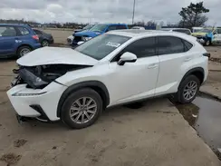 JTJDARDZ8L5013269 2020 LEXUS NX