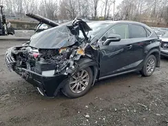 JTJDARDZ8M2249388 2021 LEXUS NX