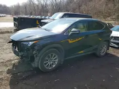 JTJDARDZ8M2251464 2021 LEXUS NX