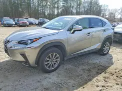 JTJDARDZ9M2258858 2021 LEXUS NX