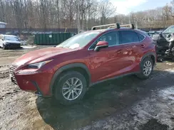 JTJDARDZ9M5025707 2021 LEXUS NX