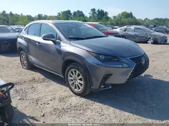 JTJDARDZXL2232929 2020 LEXUS NX