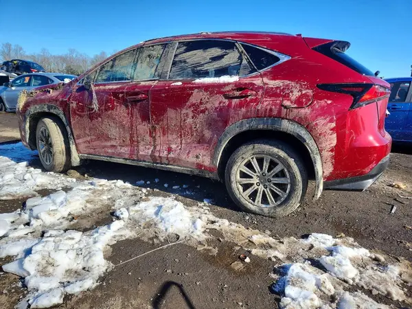 JTJDARDZXL5004637 2020 LEXUS NX - Image 2