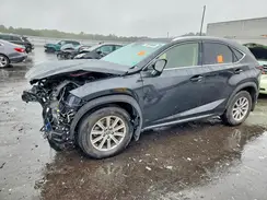 JTJDARDZXL5011703 2020 LEXUS NX