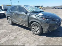 JTJDARDZXM2249781 2021 LEXUS NX