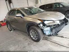 JTJDARDZXM2255029 2021 LEXUS NX