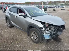 JTJDARDZXM2260490 2021 LEXUS NX