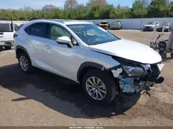 JTJDARDZXM5021147 2021 LEXUS NX